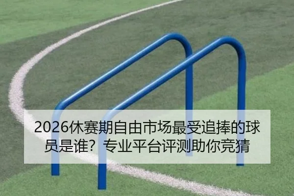 2026休赛期自由市场最受追捧的球员是谁？专业平台评测助你竞猜